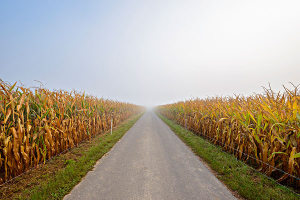 秸稈顆粒機(jī)