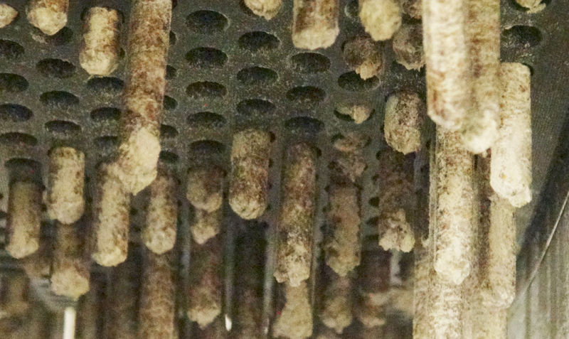 顆粒飼料成型率